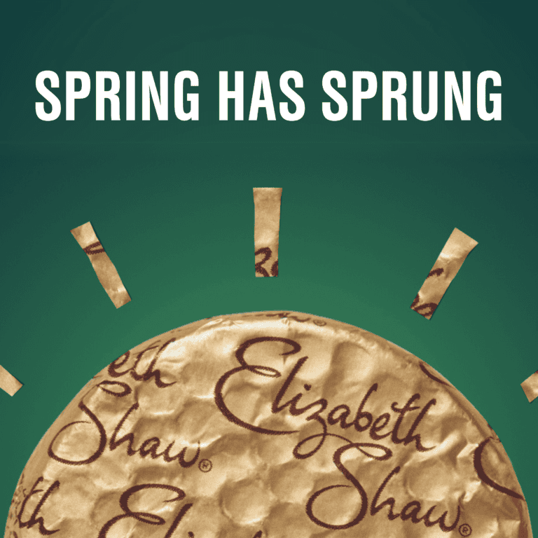 Text reads 'SPRING HAS SPRUNG' over an image of Dark Chocolate Mint Crisp foil packaging altered to look like the sunshine.